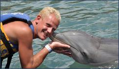 dolphinpic